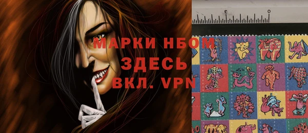 бошки Бородино