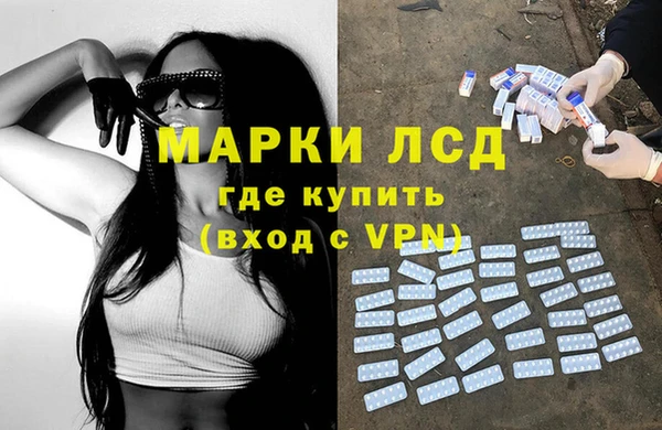 бошки Бородино