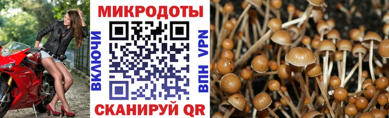 Псилоцибиновые грибы GOLDEN TEACHER  Купить где  Безенчук 